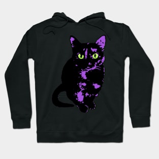 A Witches Cat Hoodie